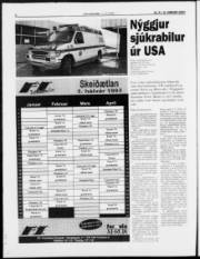 Síða 6