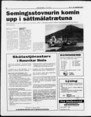 Síða 10