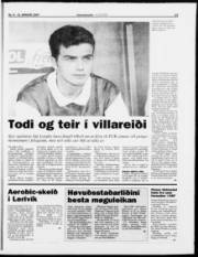 Síða 13