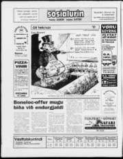 Síða 24