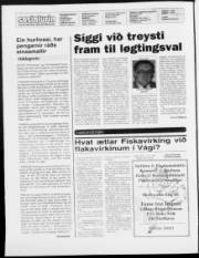 Síða 2