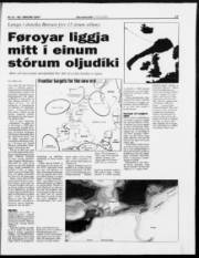 Síða 17