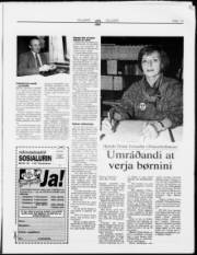 Síða 13