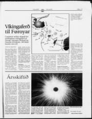 Síða 17