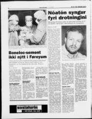 Síða 6