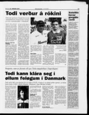 Síða 13