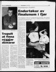 Síða 15