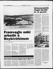 Síða 11