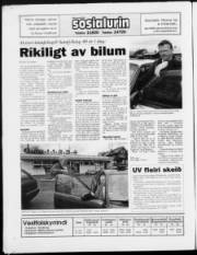 Síða 24