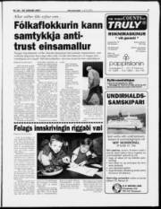 Síða 7
