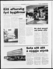 Síða 8