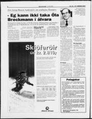 Síða 6