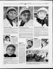 Síða 15