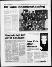 Síða 13