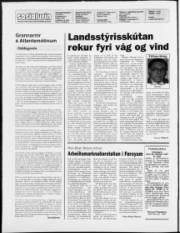 Síða 2