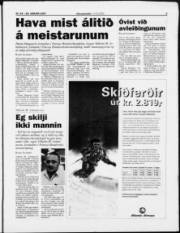 Síða 3