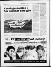 Síða 6