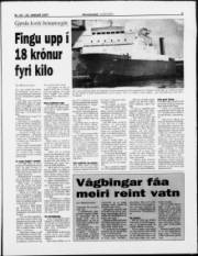 Síða 9