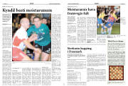 Síða 12