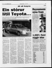 Síða 13