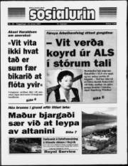 Síða 1