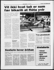 Síða 6