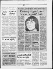 Síða 17