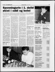 Síða 17