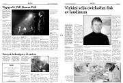 Síða 2