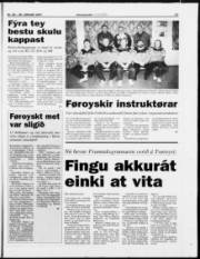Síða 17
