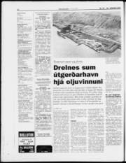 Síða 24