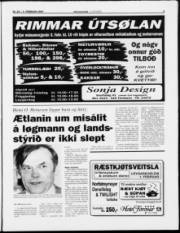 Síða 3