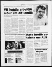 Síða 8