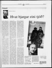 Síða 17