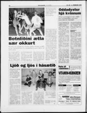 Síða 20