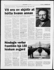 Síða 8