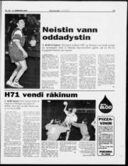 Síða 17