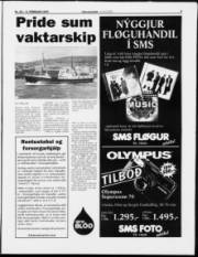 Síða 3
