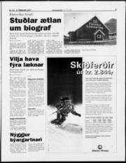 Síða 5