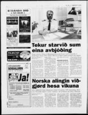 Síða 6
