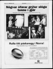 Síða 3