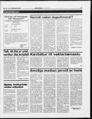 Síða 17