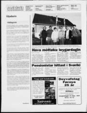 Síða 2