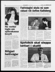 Síða 12