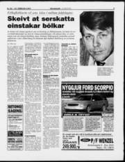 Síða 3