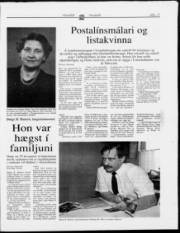 Síða 17
