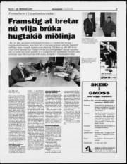 Síða 3