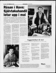 Síða 7