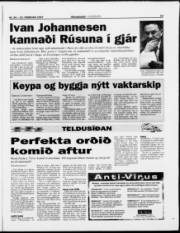 Síða 13