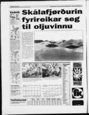 Síða 20